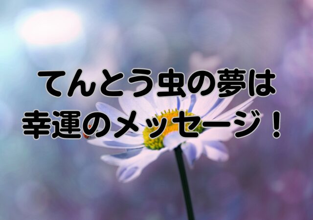 てんとう虫,夢,幸運のメッセージ