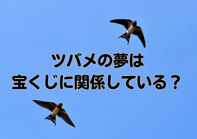 ツバメの夢,宝くじ,関係