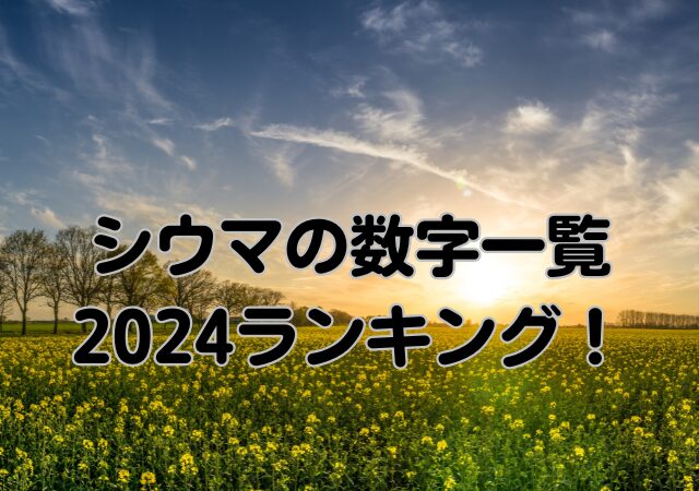 シウマ,数字一覧,2024,ランキング